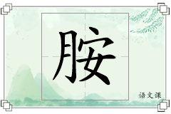胺怎么写