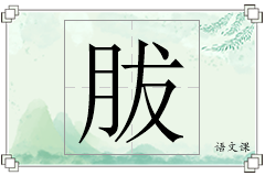 胈怎么写