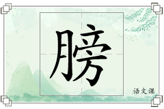 膀怎么写