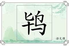 鸨怎么写