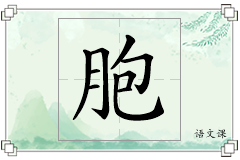胞怎么写