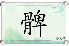 髀怎么写