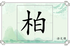 柏怎么写
