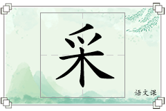 采怎么写