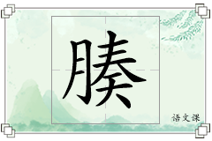 腠怎么写