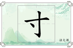 寸怎么写
