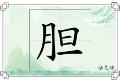 胆怎么写