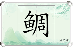 鲷怎么写