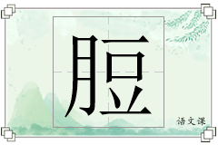 脰怎么写