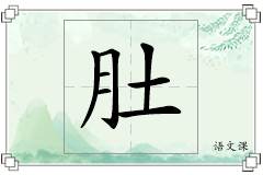 肚怎么写