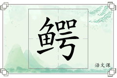 鳄怎么写