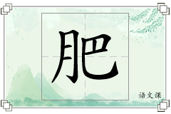 肥怎么写
