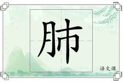 肺怎么写