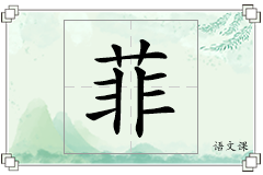 菲怎么写