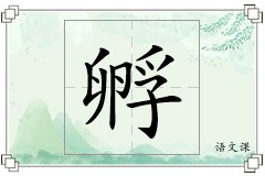 孵怎么写