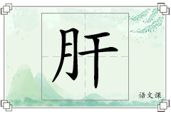 肝怎么写