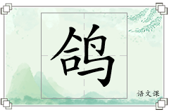 鸽怎么写