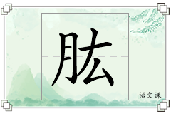 肱怎么写