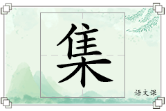 集怎么写