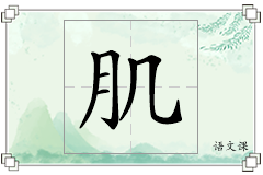 肌怎么写