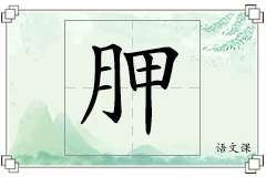 胛怎么写