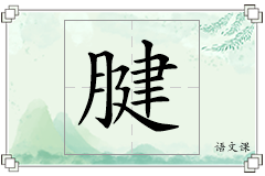 腱怎么写