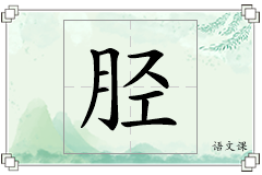 胫怎么写