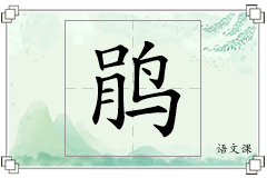 鹃怎么写