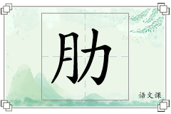 肋怎么写