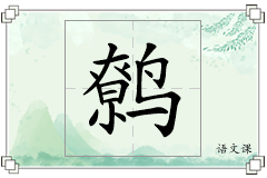 鹩怎么写