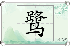 鹭怎么写