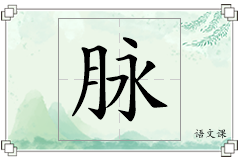 脉怎么写