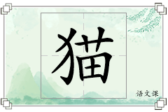 猫怎么写