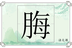 脢怎么写