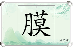 膜怎么写