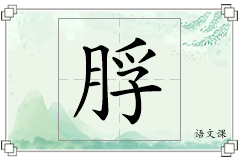 脬怎么写