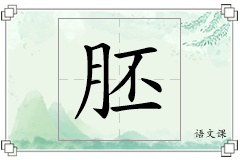胚怎么写