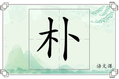 朴怎么写