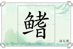 鳍怎么写