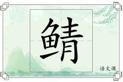 鲭怎么写