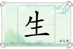 生怎么写