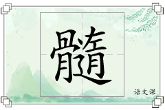 髓怎么写
