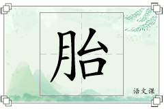 胎怎么写