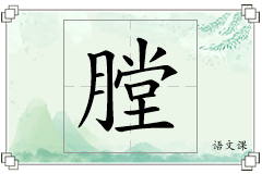 膛怎么写