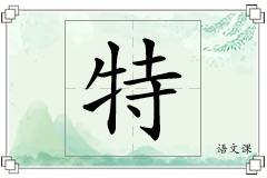 特怎么写