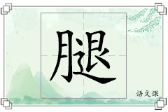 腿怎么写