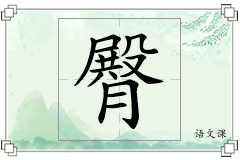 臀怎么写