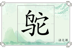 鸵怎么写