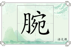 腕怎么写