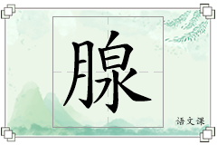 腺怎么写
